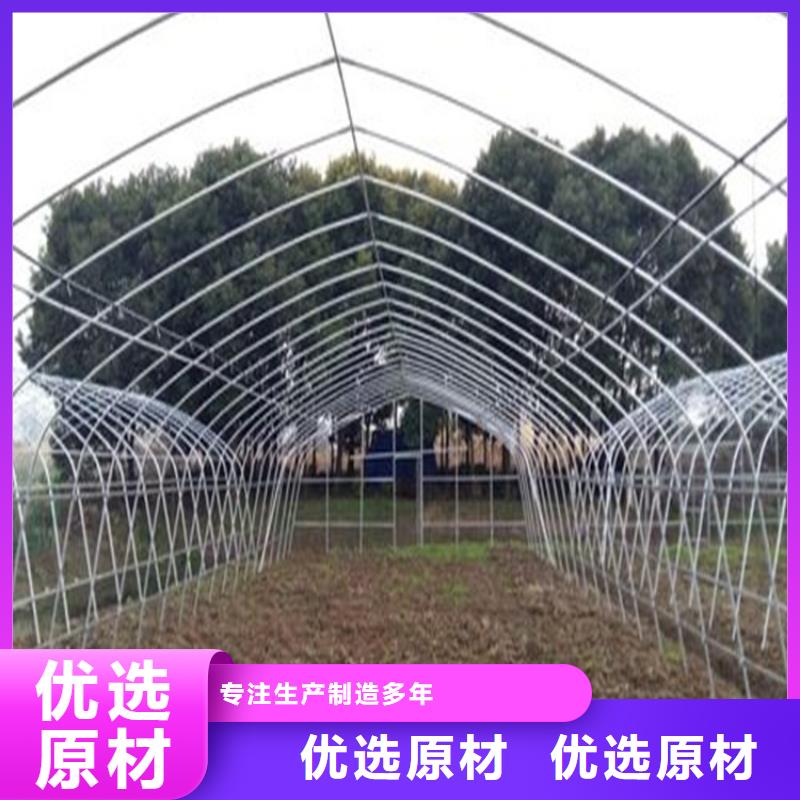 蔬菜大棚與連棟大棚 高效農(nóng)業(yè)的現(xiàn)代化選擇