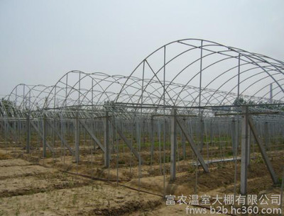 天津富農(nóng)溫室大棚 高品質(zhì)管材、單體與連體大棚及農(nóng)業(yè)機(jī)械配件一站式供應(yīng)